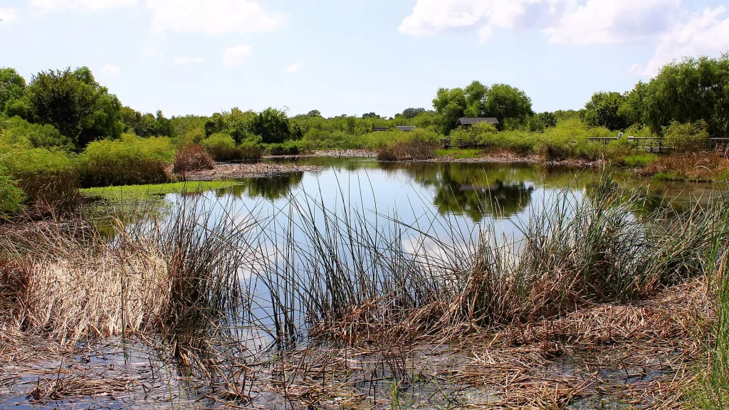 A freshwater wetland at Sea Center Texas, in Lake Jackson, Texas