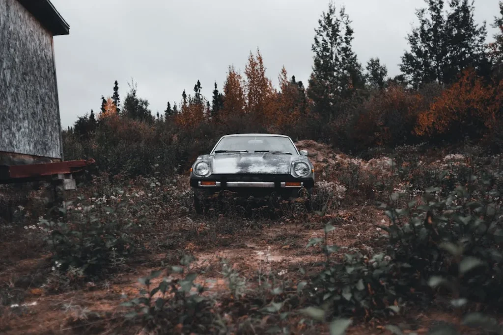 Abandoned car in the woods
