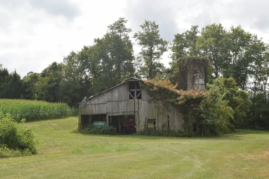 An old barn nestled among lush green trees in Lexington, Kentucky