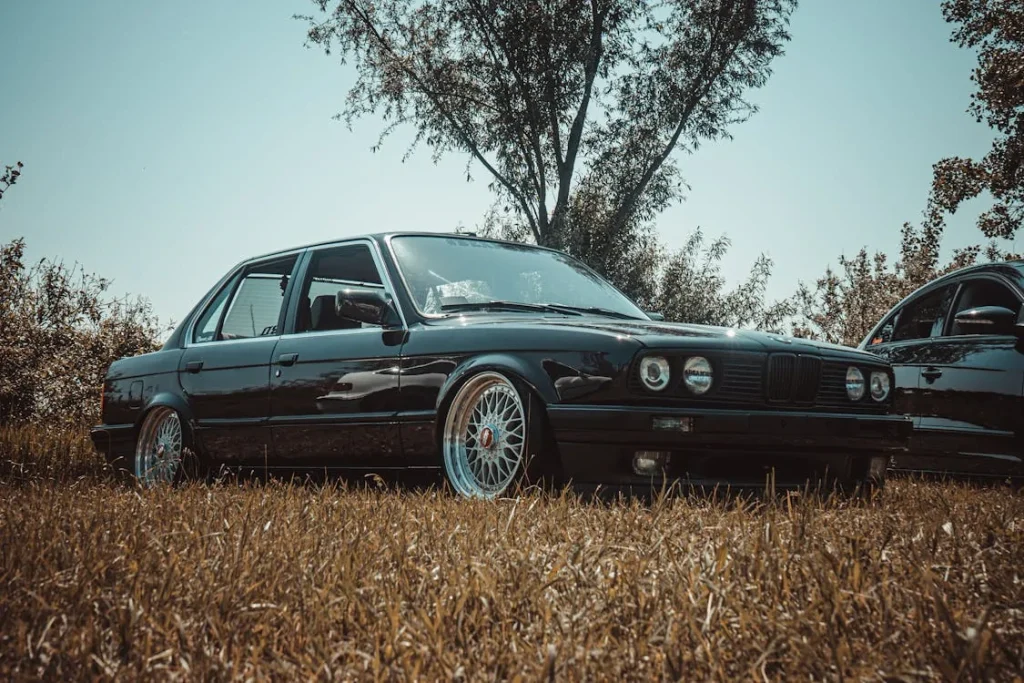 Black BMW on dried grass