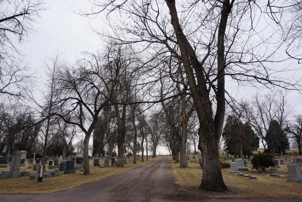 Cemetery with bare trees in Elgin, Illinois