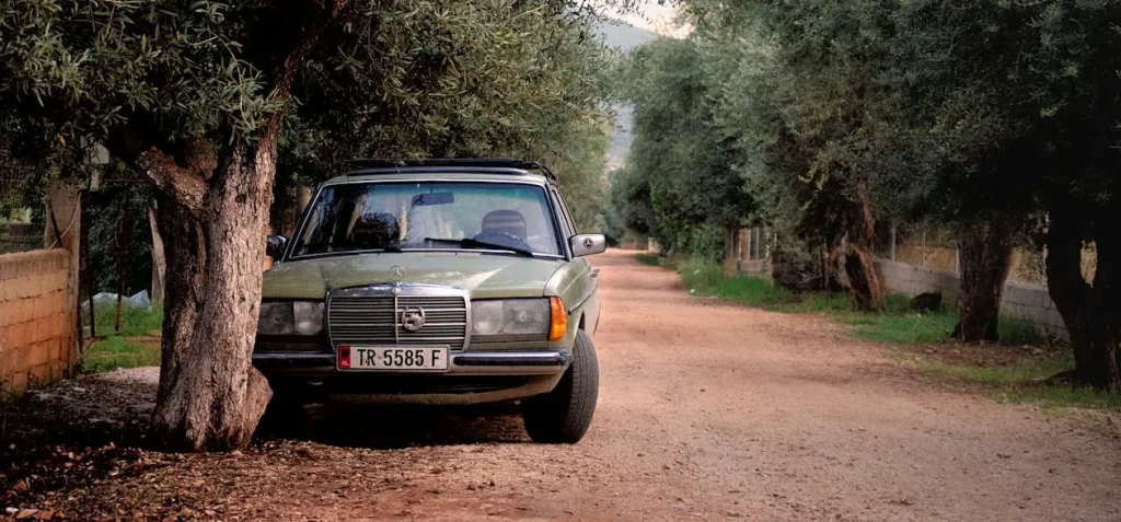 Green Mercedes-Benz W123 parked near tree