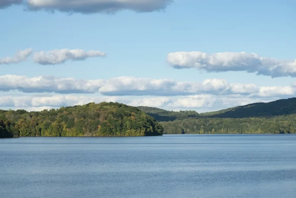 Green trees on an island at Croton Gorge Park in Westchester County, New York