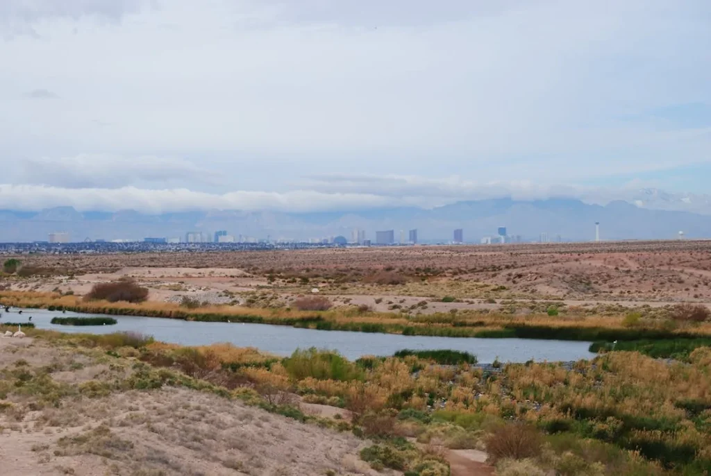Stream running through a desert landscape in Henderson, Nevada