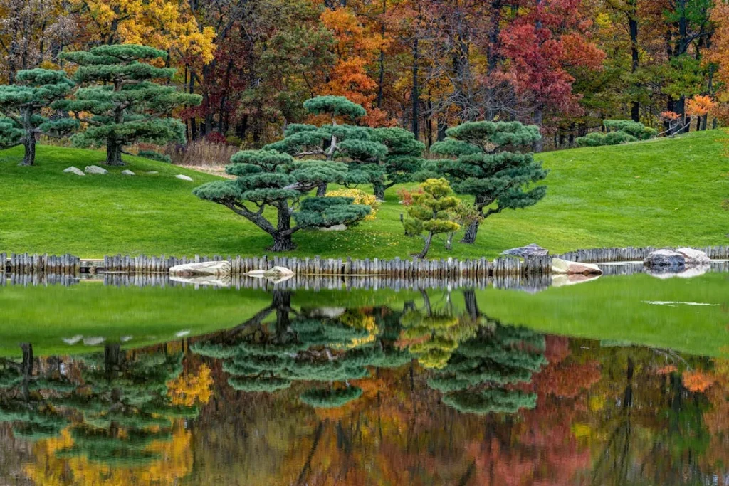 Wooden bridge near a lawn with autumn trees reflecting in the pond in Rockford, Illinois
