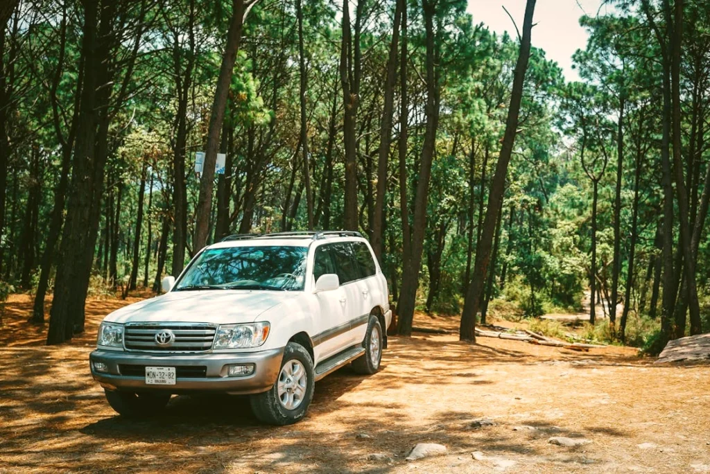 White Toyota Land Cruiser parked in a forest